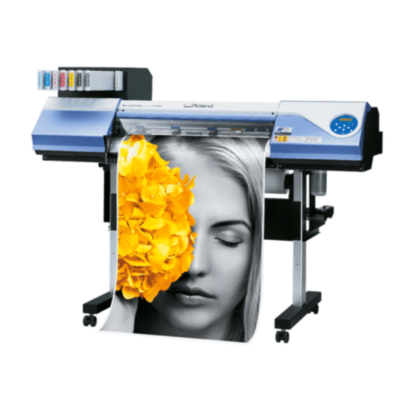 Large Scale Printing! Canvas | Photo | Vinyl | Flex
